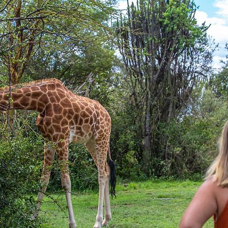 Mbweha Camp Lake Nakuru Elmenteita Экстерьер фото
